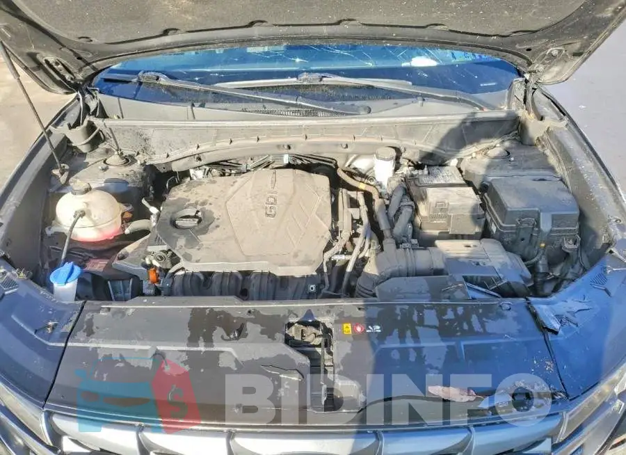 5NMJFCAE8PH251938 Photo# 12