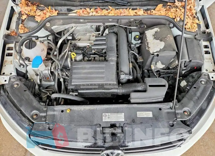 3VW2B7AJ6HM389963 Photo# 11