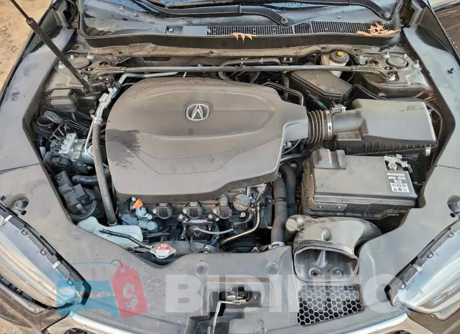 19UUB2F44KA007274 Photo# 11
