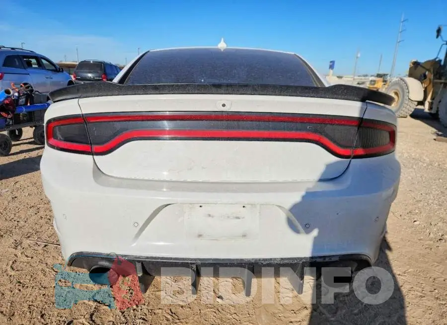 2C3CDXGJ3MH539761 Photo# 6