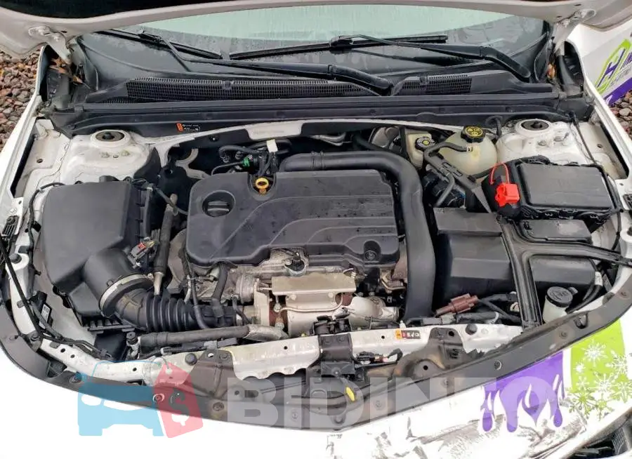 1G1ZB5ST5LF024603 Photo# 11