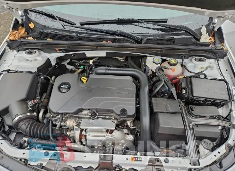 1G1ZD5ST5PF245540 Photo# 11