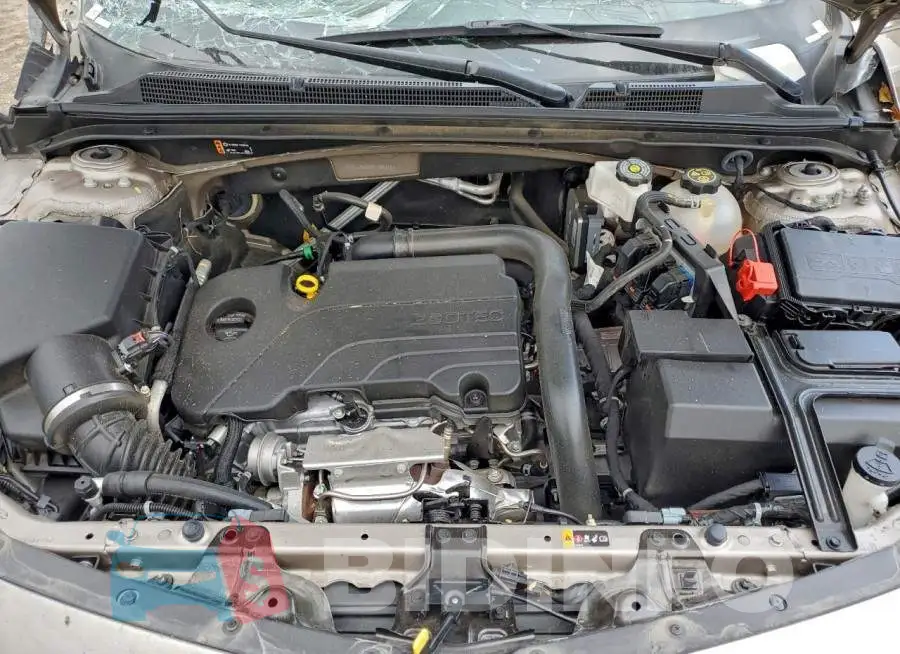 1G1ZD5ST5RF168316 Photo# 11