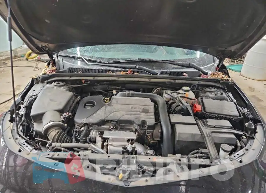 1G1ZG5ST9NF207605 Photo# 11