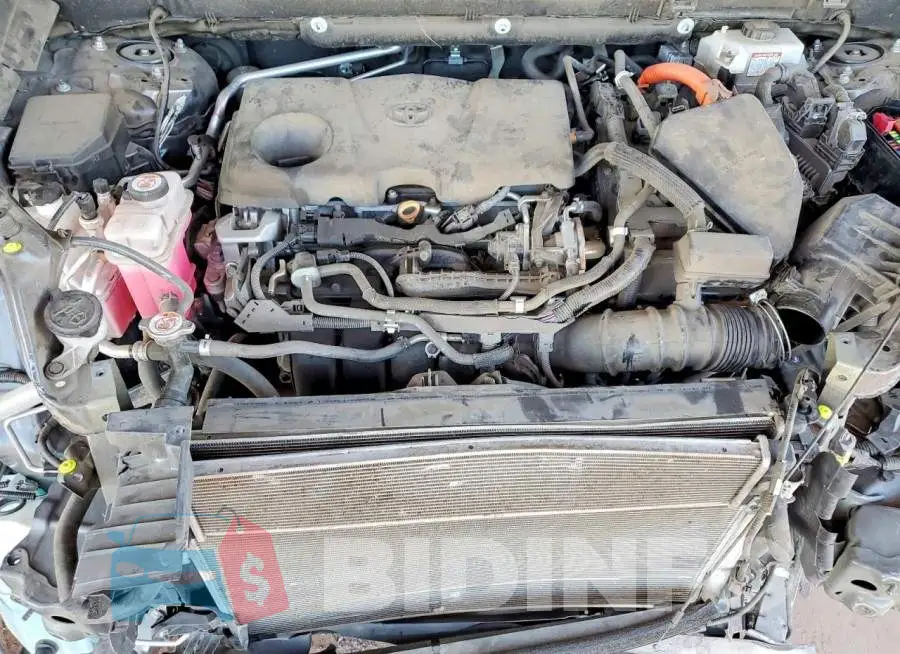 2T3EWRFV6KW043834 Photo# 11