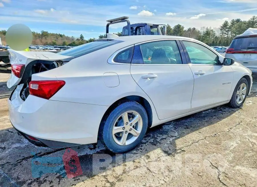 1G1ZD5ST0RF171091 Photo# 3