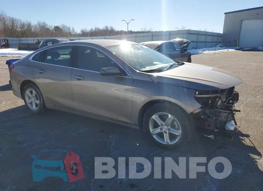 1G1ZD5ST4PF189817 Photo# 4