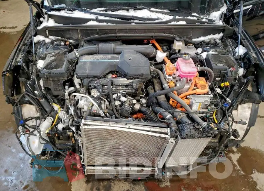 KNDRGDLG3N5077524 Photo# 12