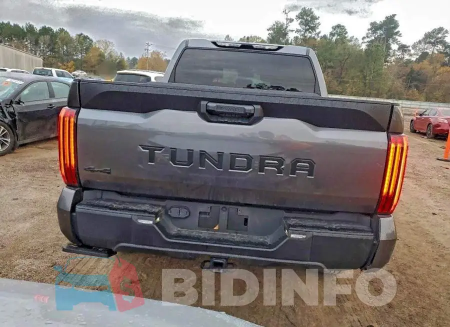5TFLA5DB2RX201258 Photo# 6