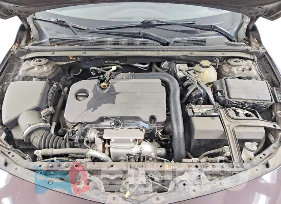 1G1ZD5ST1LF124966 Photo# 11