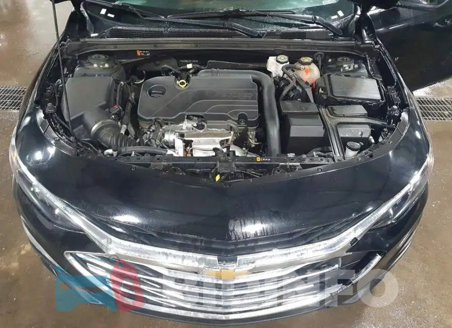 1G1ZD5ST1PF170416 Photo# 11