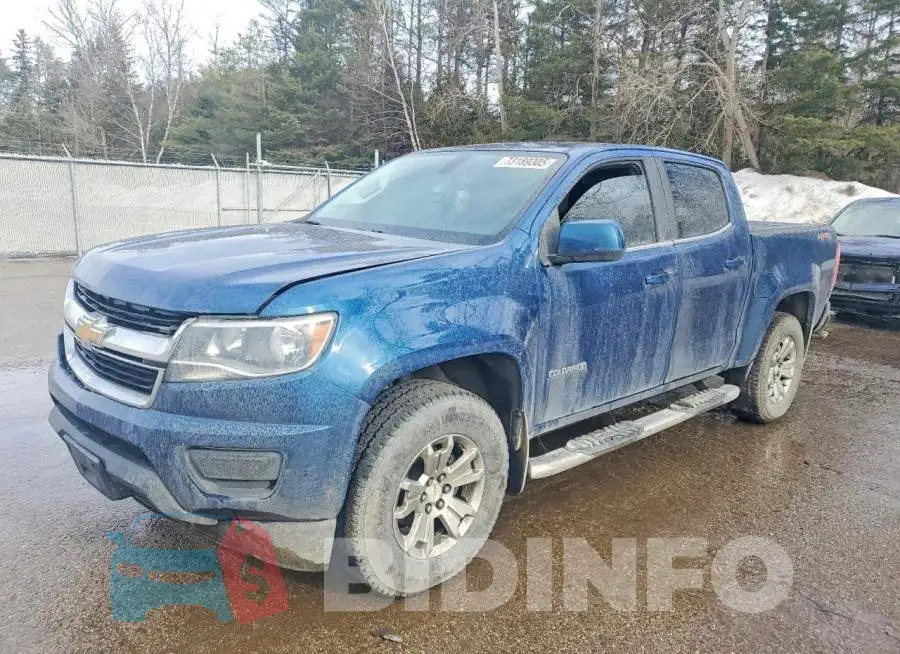 1GCGTCENXK1117772 Photo# 1