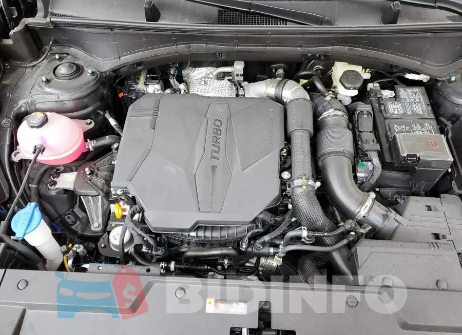 5NMP54GL2SH098040 Photo# 12