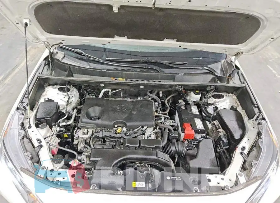 2T3P1RFV2MC240544 Photo# 12