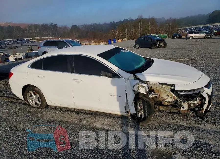 1G1ZB5ST5HF119525 Photo# 4