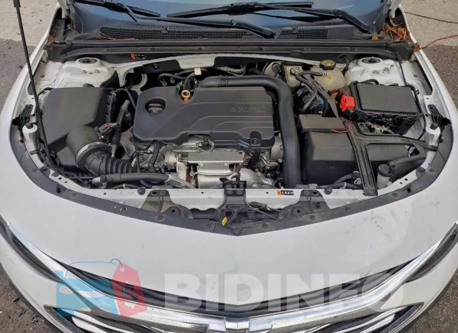 1G1ZB5STXLF026847 Photo# 11