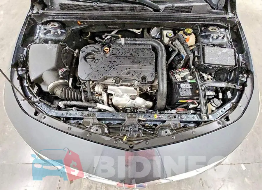 1G1ZD5ST2LF088107 Photo# 11