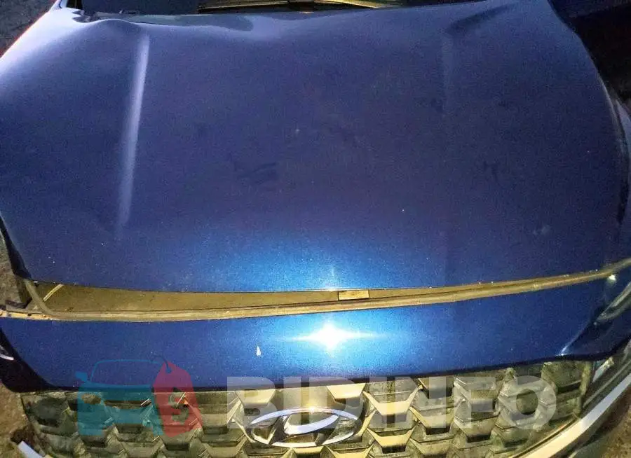 5NMS24AJ2PH542941 Photo# 11