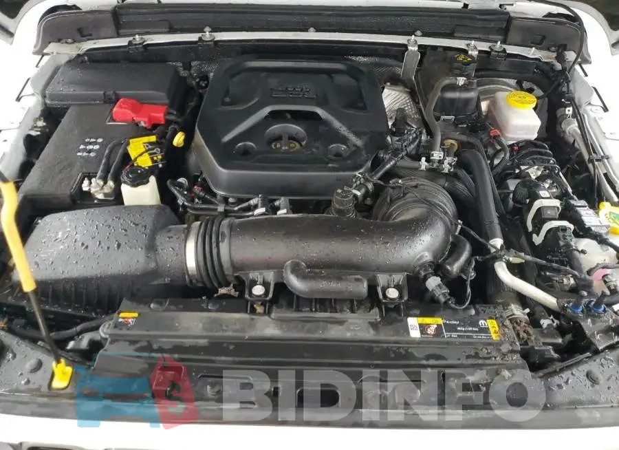 1C4PJXFN8SW528196 Photo# 12