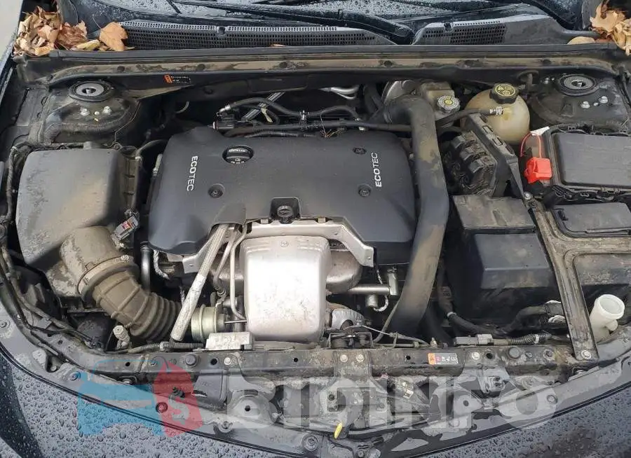 1G1ZH5SX0HF223003 Photo# 11