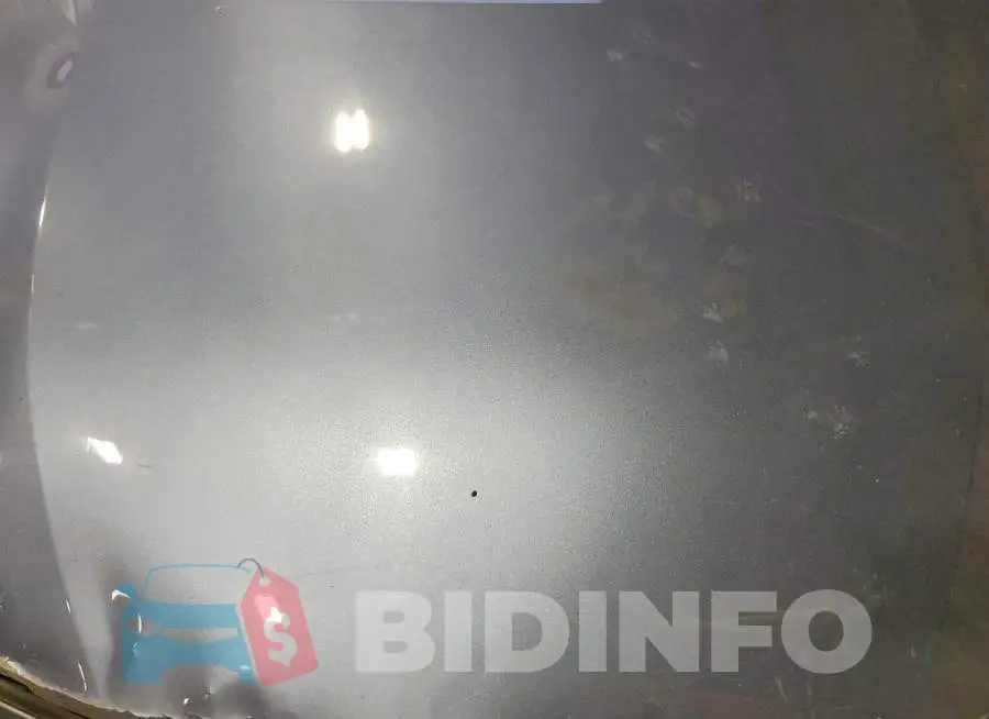 5YFEPRAE1LP122912 Photo# 11