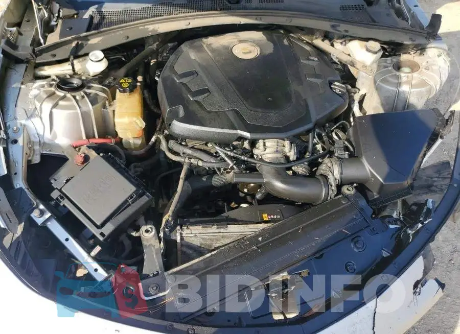 1G1FB1RS8J0152892 Photo# 11