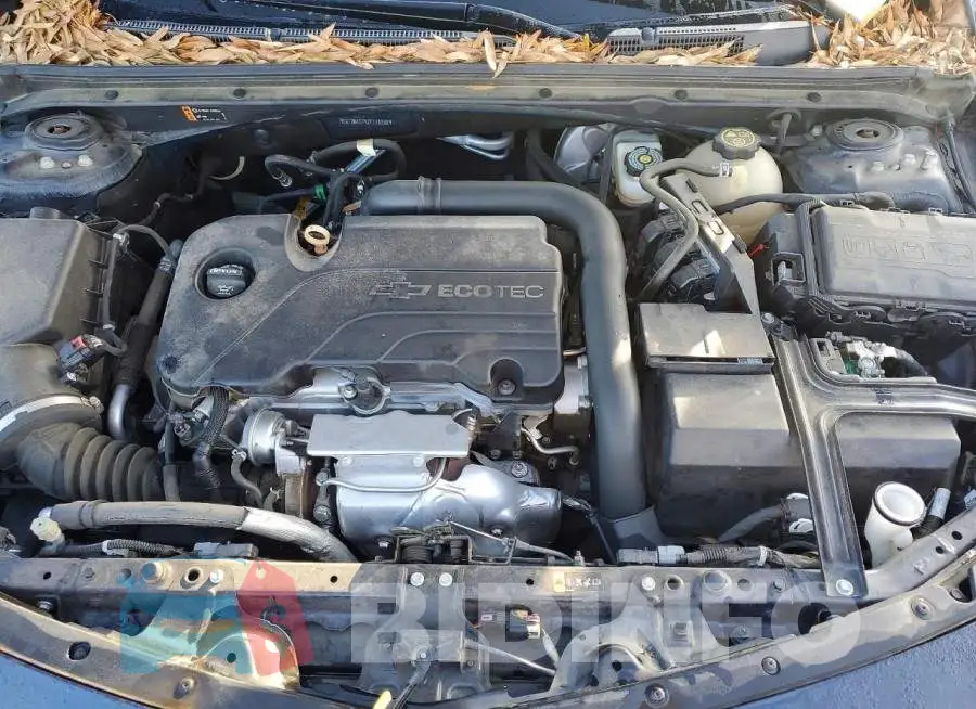 1G1ZB5ST9JF118268 Photo# 11