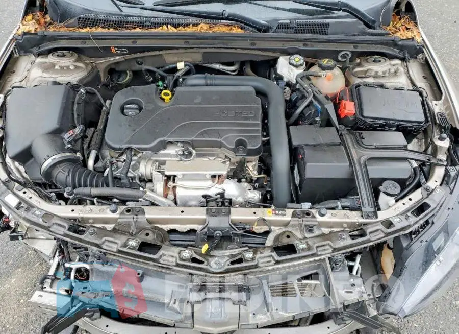 1G1ZD5ST2RF205970 Photo# 11