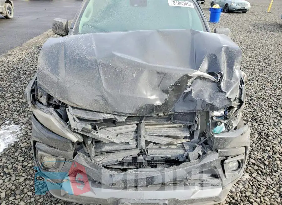 1GCGTDEN5M1291399 Photo# 11