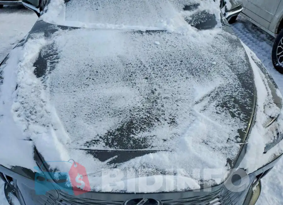 2T2BAMCA9SC112561 Photo# 11