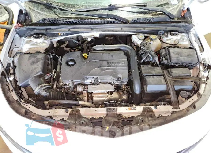 1G1ZD5ST1RF111157 Photo# 11