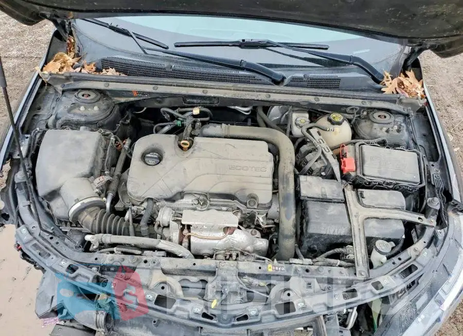 1G1ZD5STXKF104455 Photo# 11
