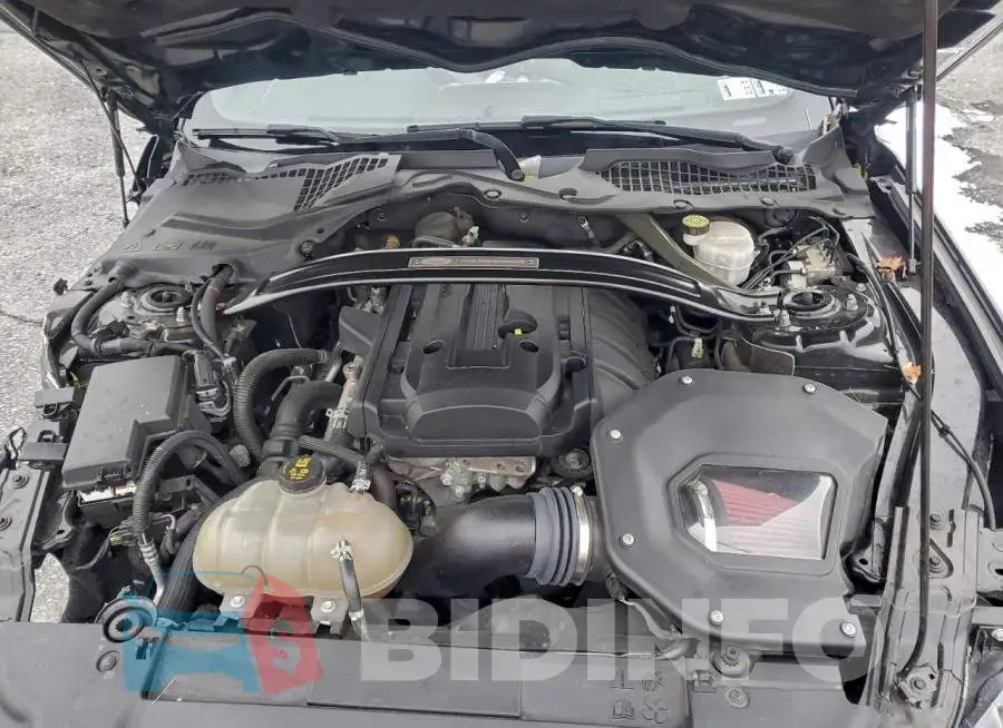 1FATP8UH1L5135685 Photo# 11
