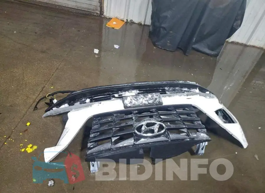 5NMJBCDE4RH424087 Photo# 12