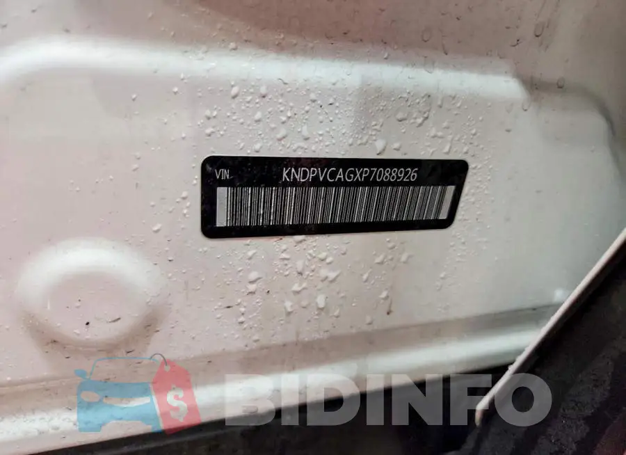 KNDPVCAGXP7088926 Photo# 13