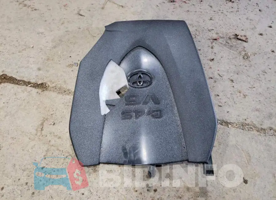 3TYCZ5AN5LT006067 Photo# 12