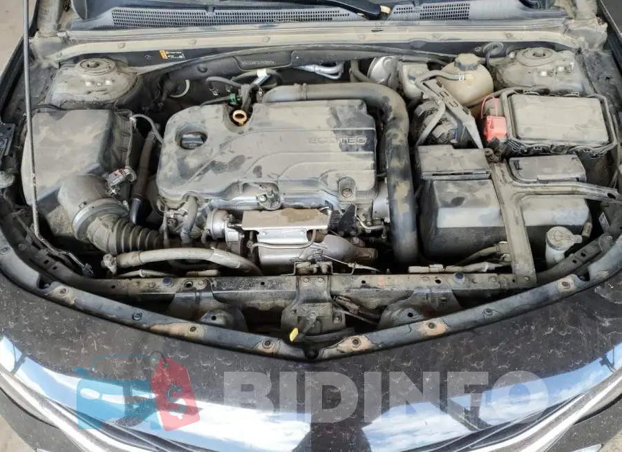 1G1ZD5ST2LF072571 Photo# 11