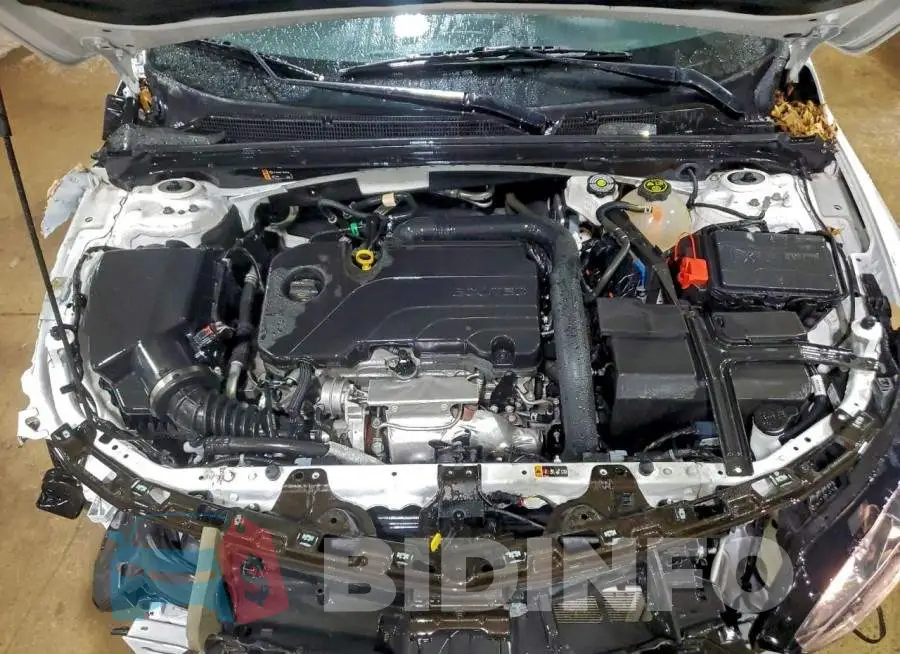 1G1ZD5ST6RF166980 Photo# 11