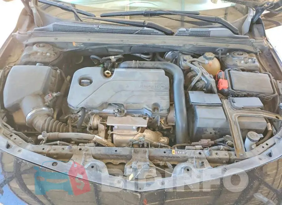 1G1ZD5ST9MF005970 Photo# 11