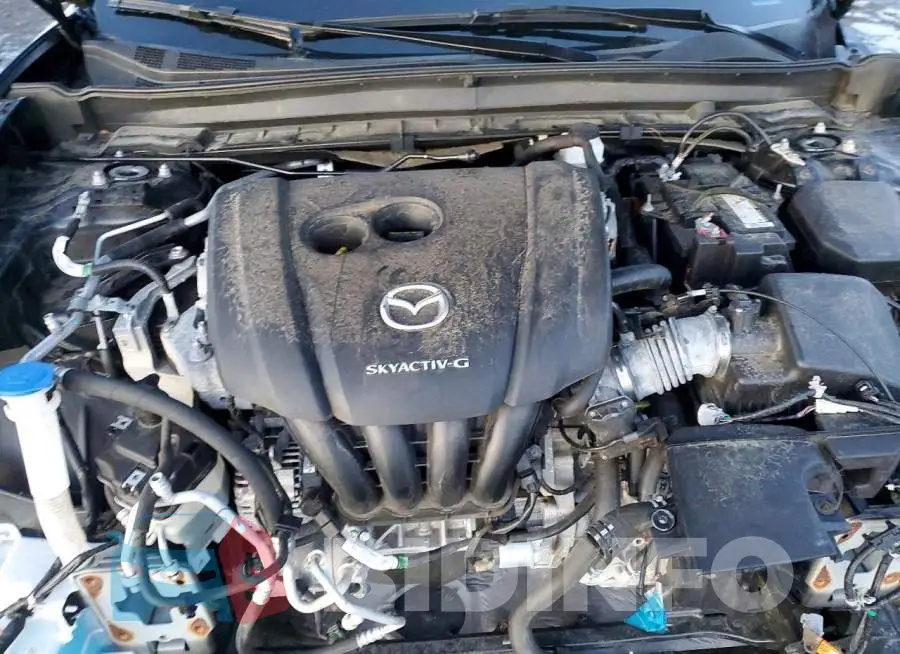 3MVDMBDM9MM221211 Photo# 12