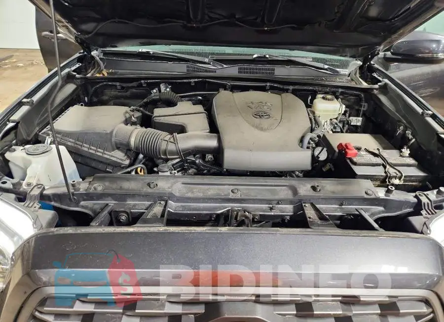 3TMCZ5AN1LM364262 Photo# 11