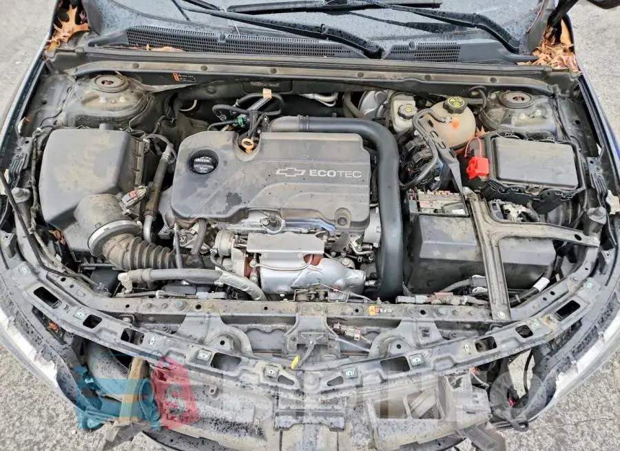 1G1ZD5ST4JF166240 Photo# 11