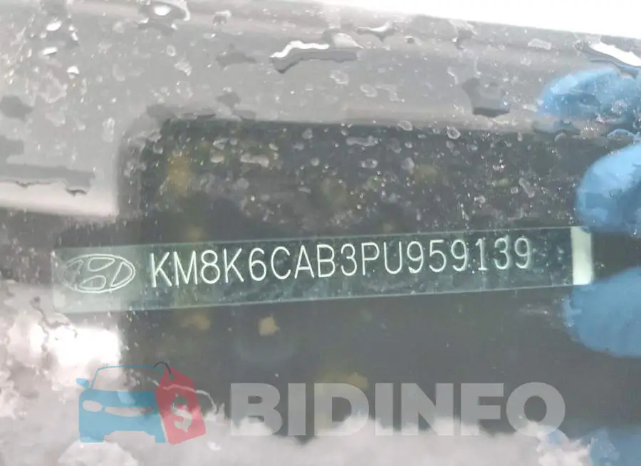 KM8K6CAB3PU959139 Photo# 13