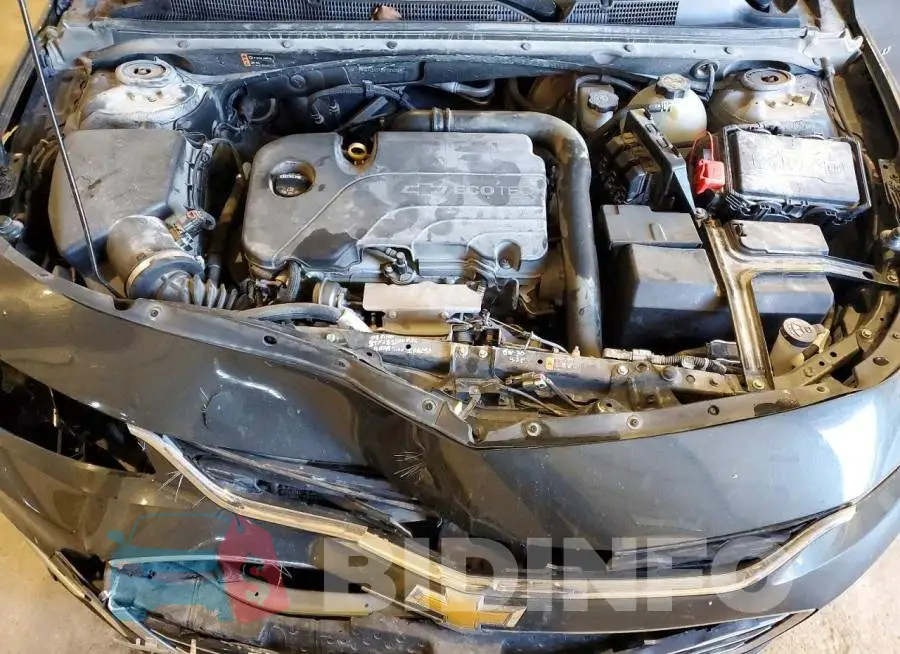 1G1ZB5ST6HF263021 Photo# 11