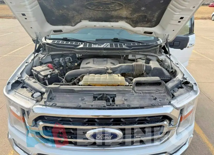 1FTFW1E88PKD46387 Photo# 7