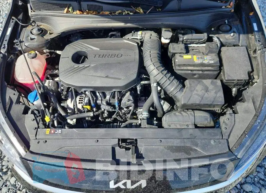 3KPF44AC6RE783375 Photo# 11