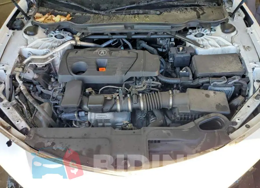 19UUB5F4XPA003173 Photo# 11