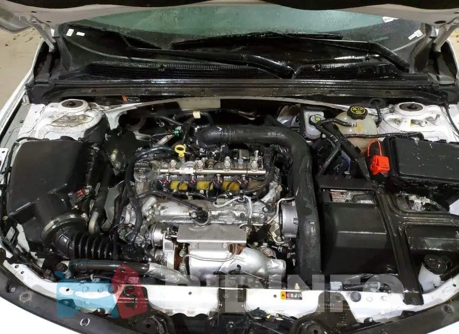 1G1ZD5ST5NF195509 Photo# 11