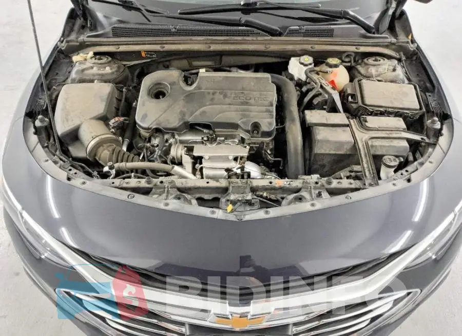 1G1ZD5ST4PF213758 Photo# 11