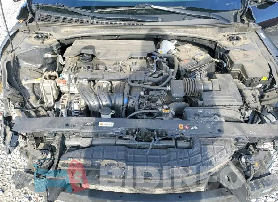 KMHLM4DG5RU645650 Photo# 11